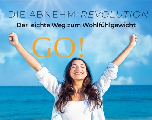 Go Die Abnehm Revolution Produktvorstellung Intueat Erfahrungen